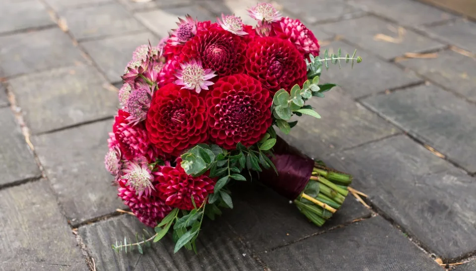 La Dalia: Dignità e buon gusto declinati al femminile.