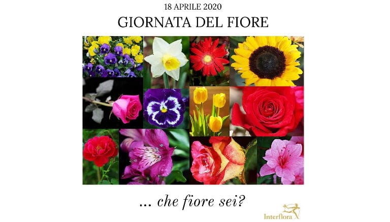 18 Aprile 2020 – Giornata del Fiore