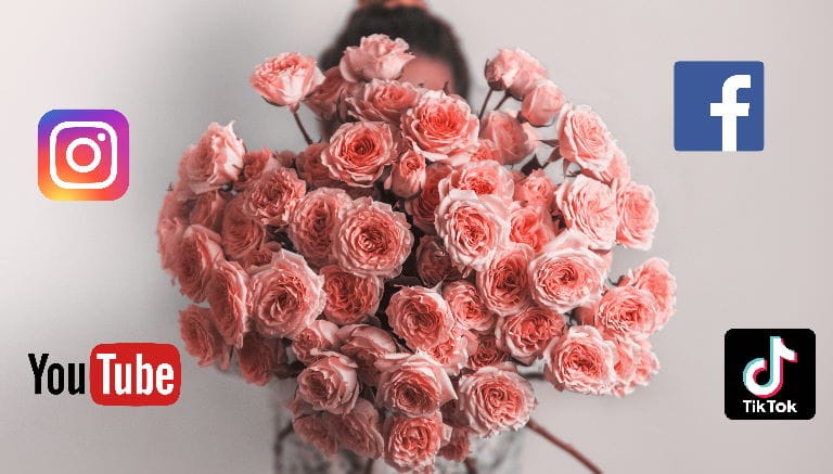 Rose, “STORIES” di Mamme