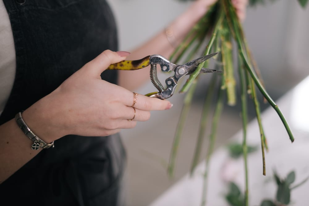 Come curare i fiori recisi