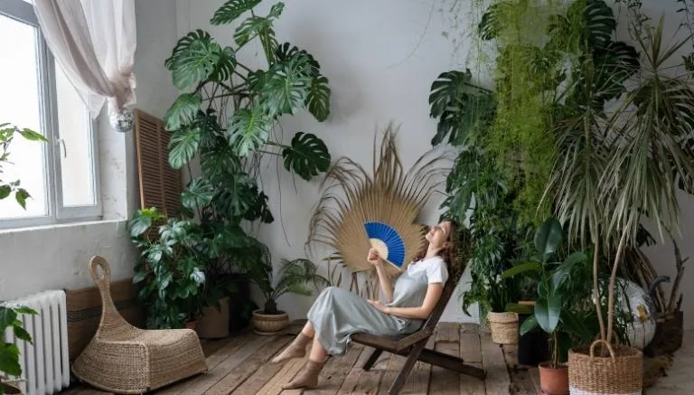 Come annaffiare le piante durante le vacanze? 