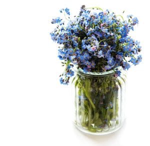 bouquet di non ti scordar di me in vaso trasparente