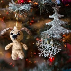 albero di natale family