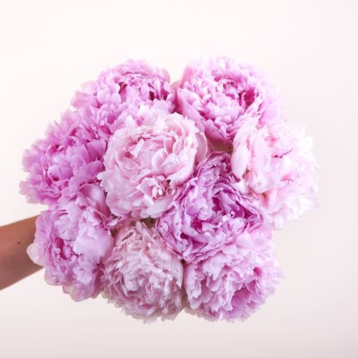 Set 4 Portatovaglioli A Fiore Di Peonia – Rosa, Diametro 12,7 Cm, Eleganti Per Matrimoni E Cene