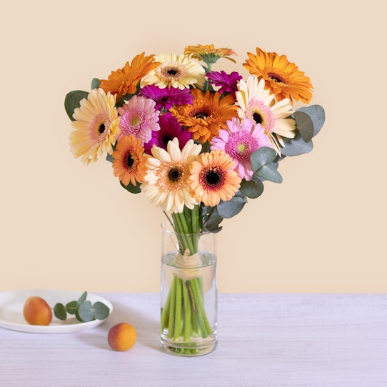 Bouquet di gerbere in vaso