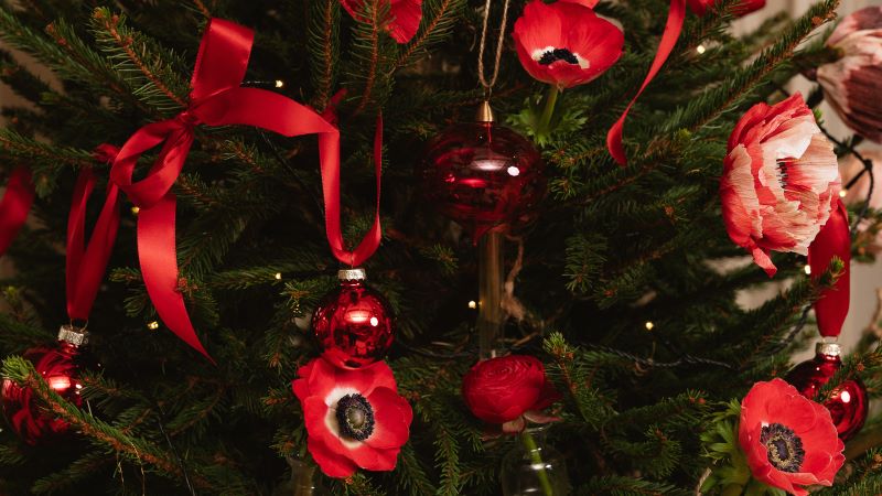 Decorazioni albero di natale