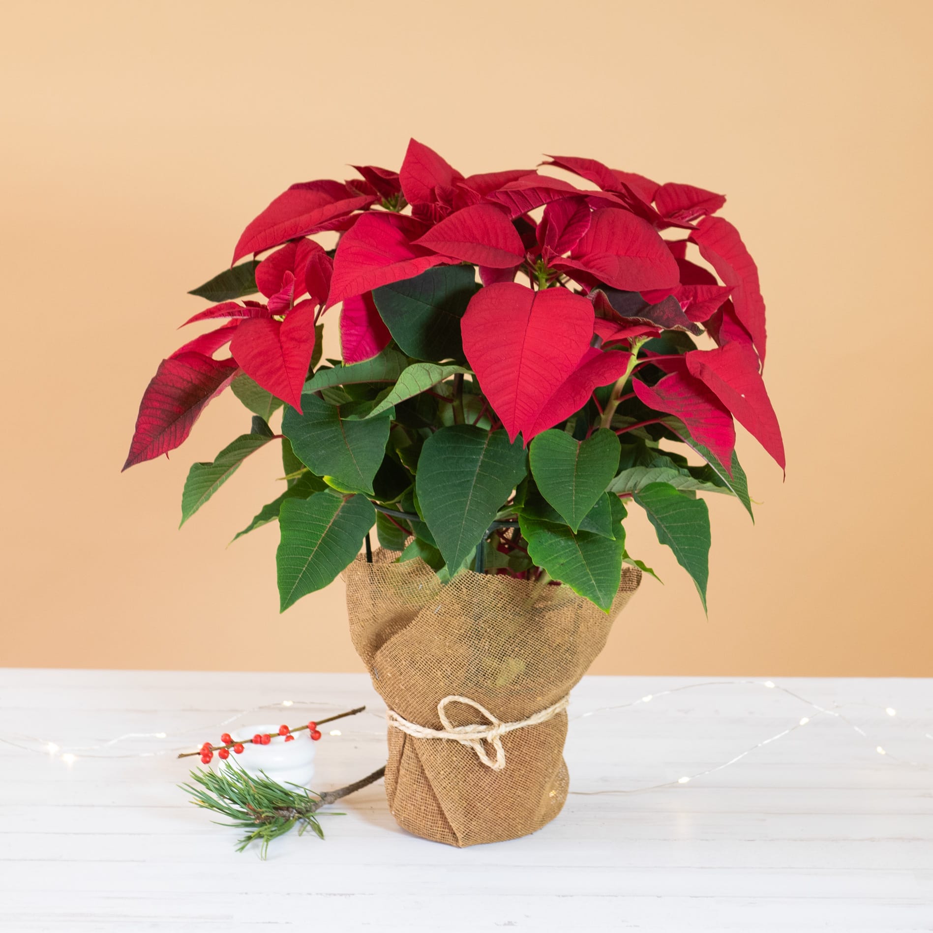 addobbare una casa per natale