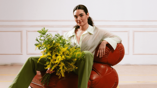 Mimosa: significato simbolico dell’8 marzo