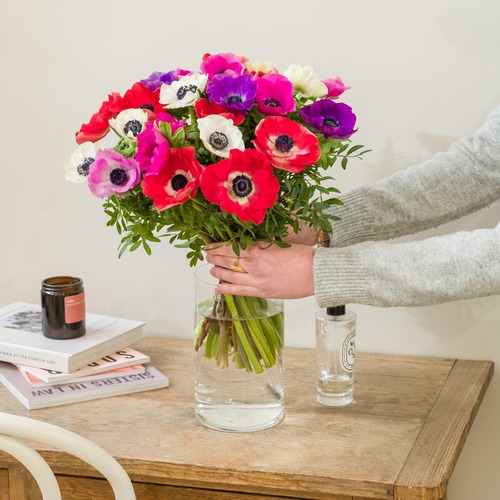 Mazzo di anemoni colorati rosa, fucsia, bianchi in vaso di vetro su tavolo in legno, con mano che sistema i fiori