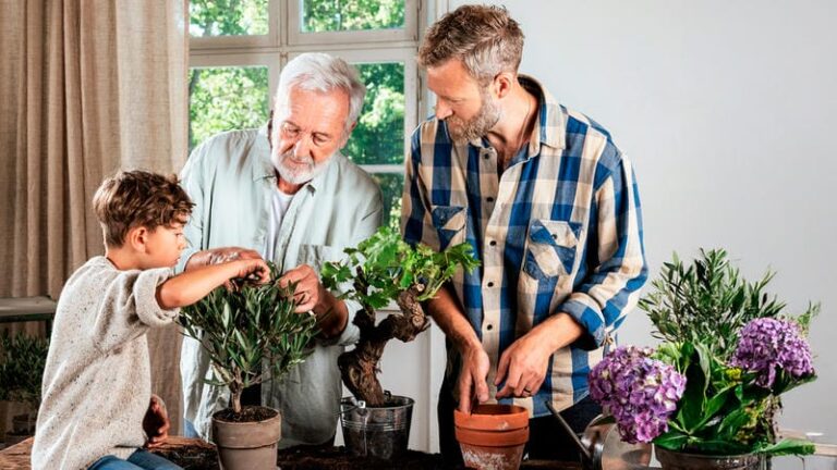 Fiori e piante da regalare al papà per ogni occasione