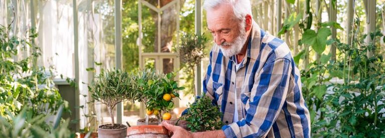19 Marzo: Piante per tutti i Papà