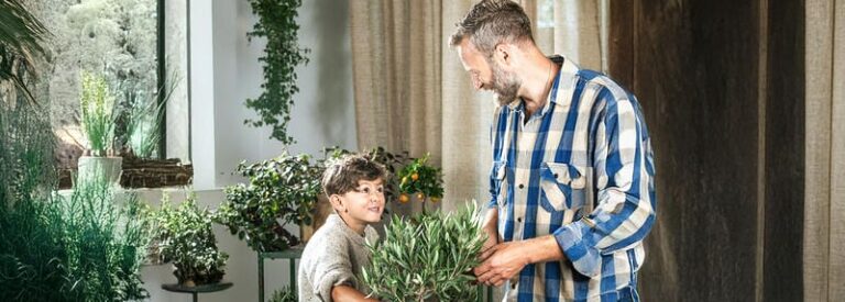 Quali piante si regalano ad un uomo?