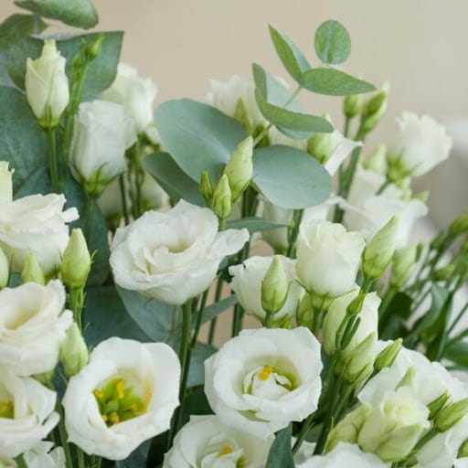 primo piano lisianthus bianchi in un mazzo di elementi verdi