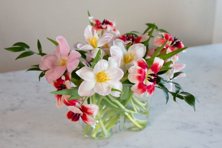 Consigli per conservare un bouquet di tulipani in vaso
