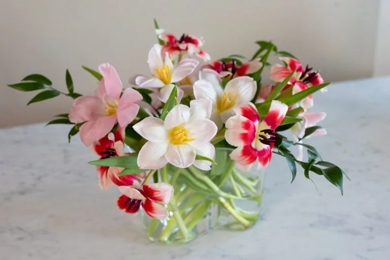 Consigli per conservare un bouquet di tulipani in vaso