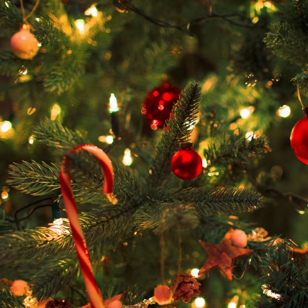 Albero di Natale dolce