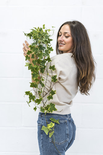 edera pianta da terrazzo tenuta in mano da una ragazza con i capelli lunghi