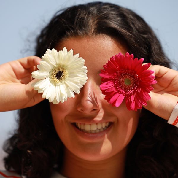 Gerbere bianche e rosa