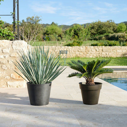 yucca in vaso nero a bordo piscina
