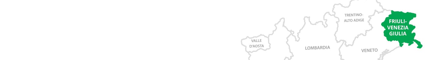 Fioristi Friuli-Venezia Giulia