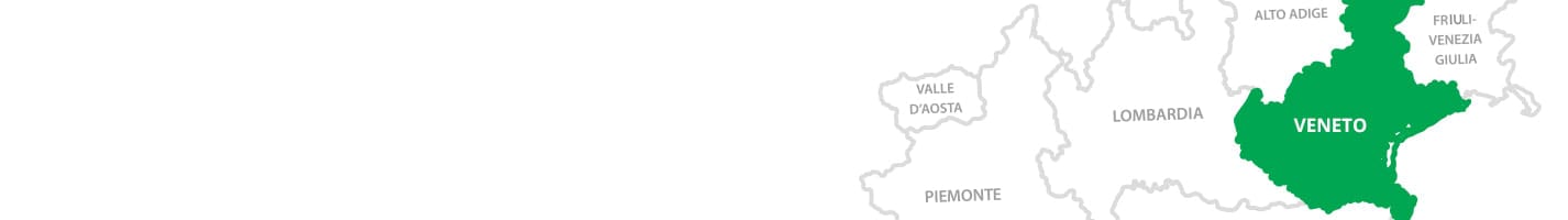 Fioristi Veneto