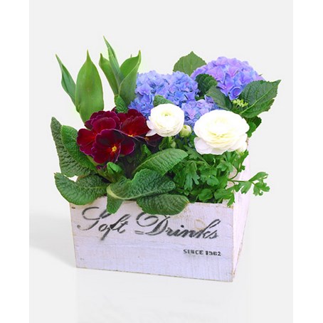 Box with spring plants