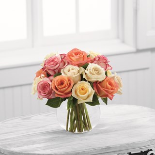 The Sundance Rose