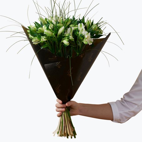 Gorgeous White Alstromeria 242674