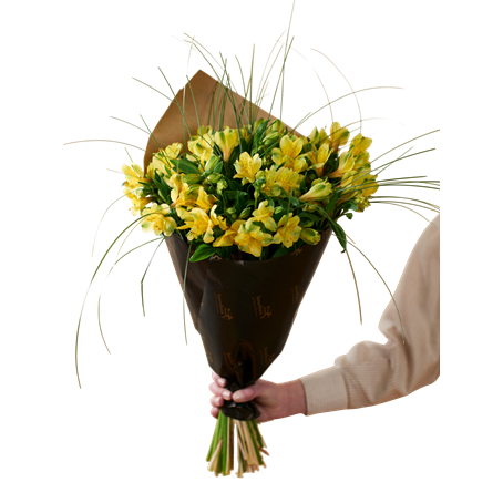 Gorgeous Yellow Alstromeria 240137