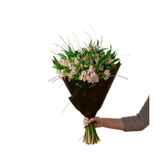 Gorgeous Pink Alstromeria 242634