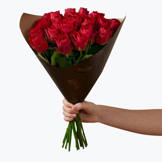 Roses Red 20 242623