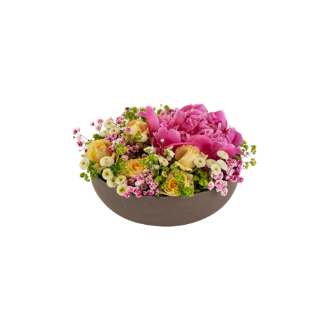 Summer Bowl 250334