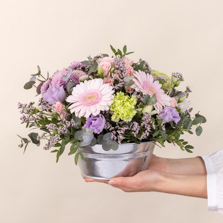 Zeste tendre - Pastel bloom