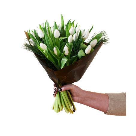 White Tulips Christmas 240518