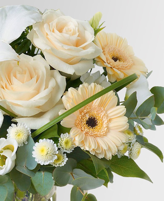 Bouquet benvenuto
