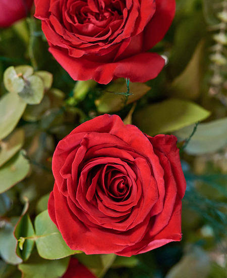 Tre rose rosse