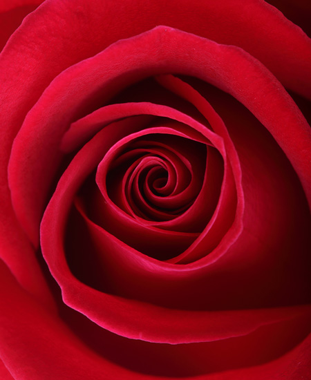 Scrigno d'Amore