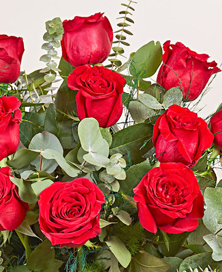 Dichiarazione d'amore