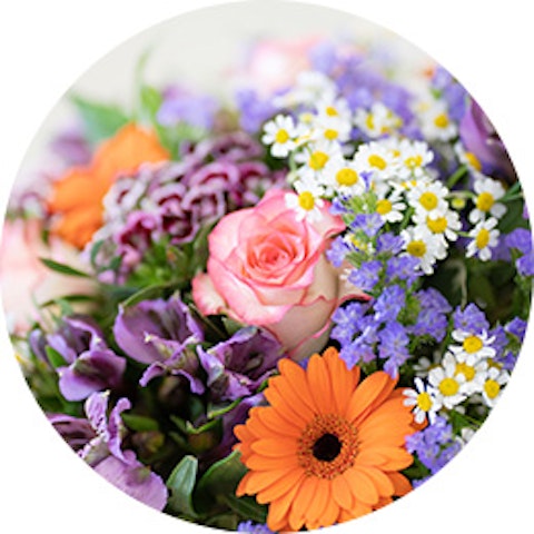 Ghirlanda Nascita » Acquista online e invia fiori e piante a Giussano per  consegna a domicilio.