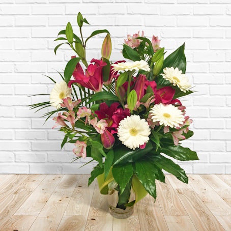 Lilium e Gerbere