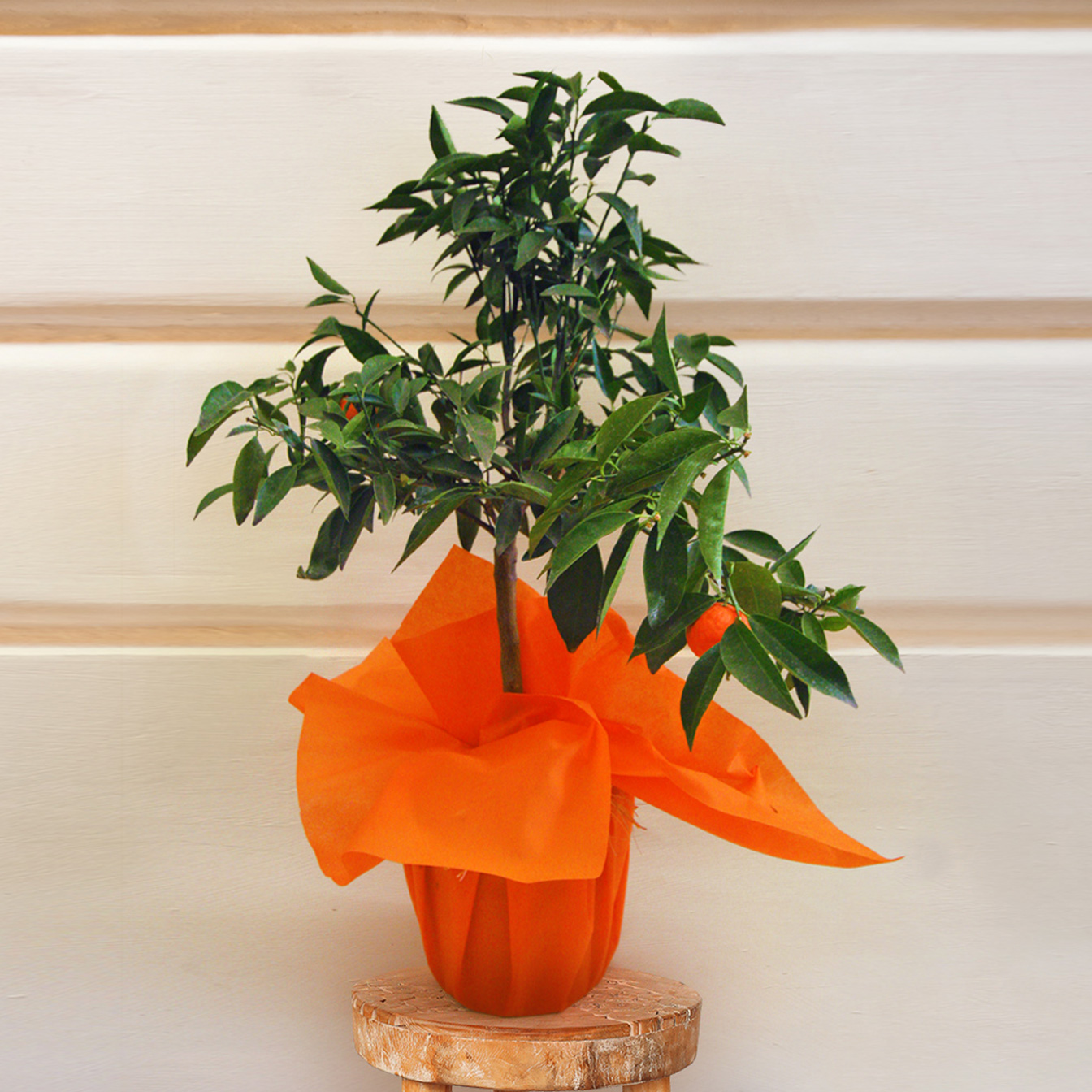 Mandarancio