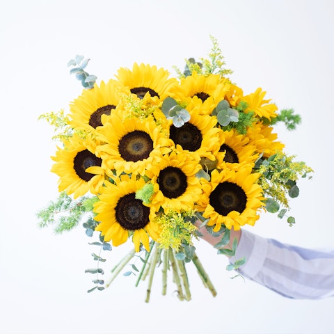 I significati del girasole nel linguaggio dei fiori