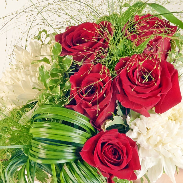 Auguri