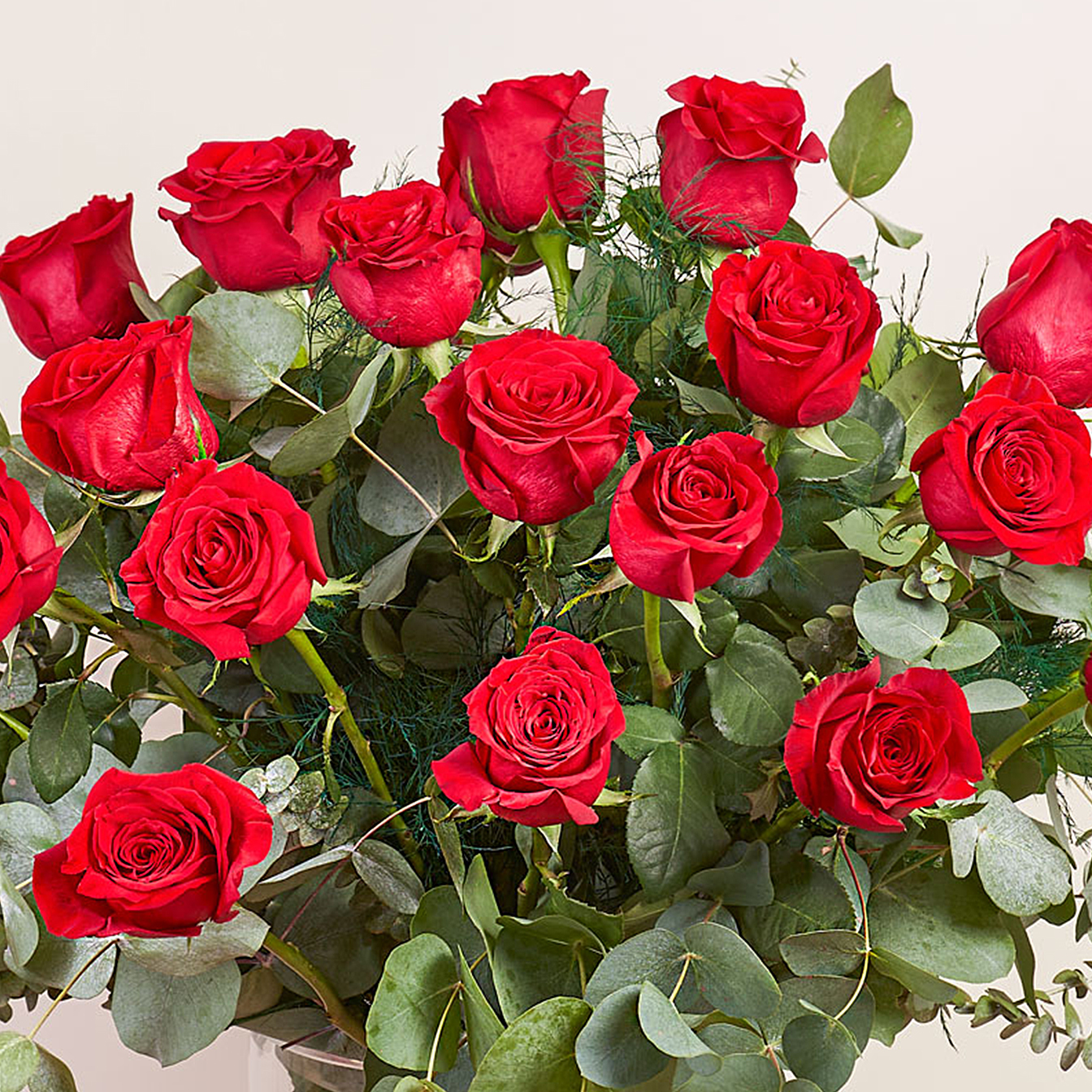 Rose Rosse Premium