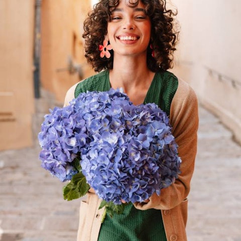 Come scegliere un bouquet di ortensie