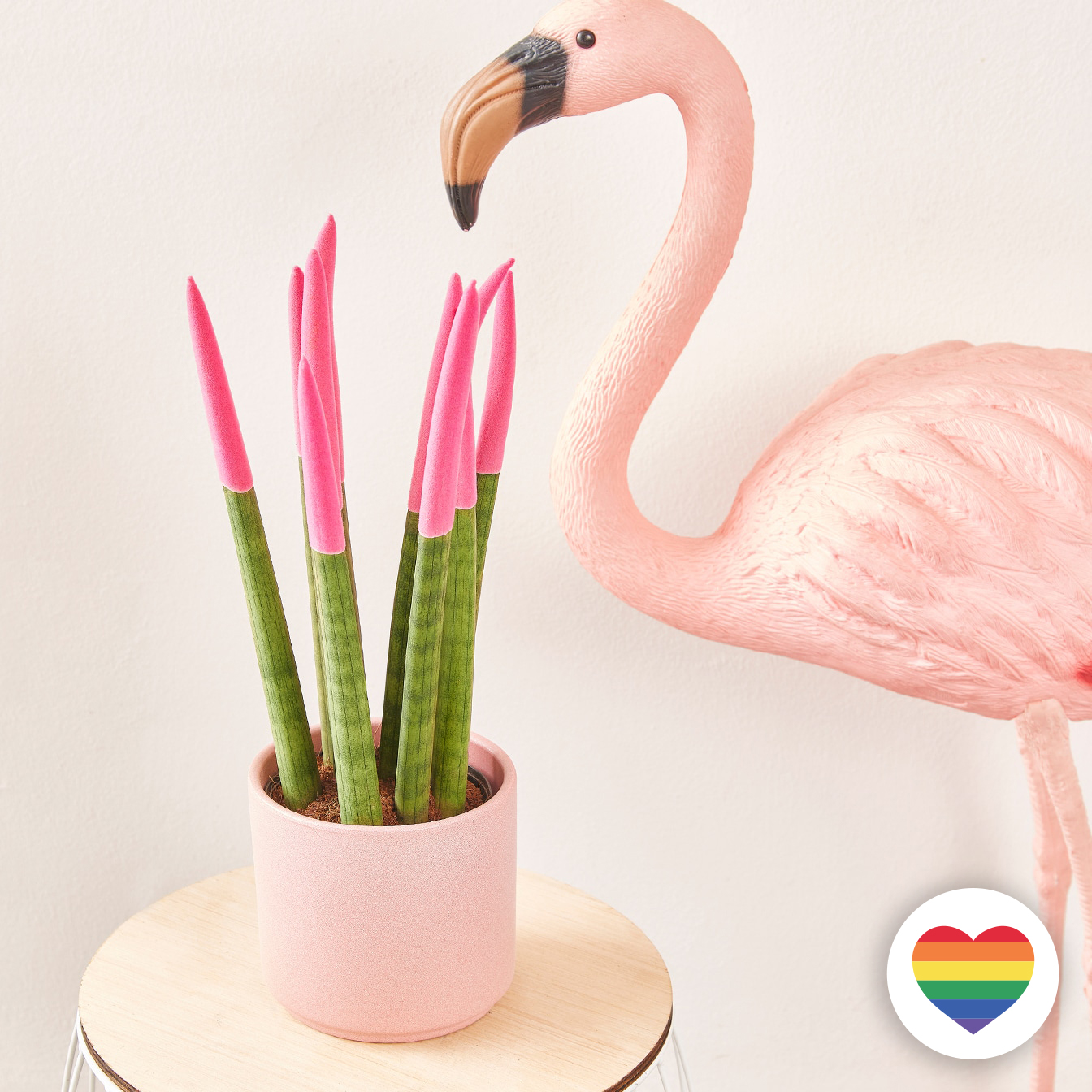 Pantera rosa