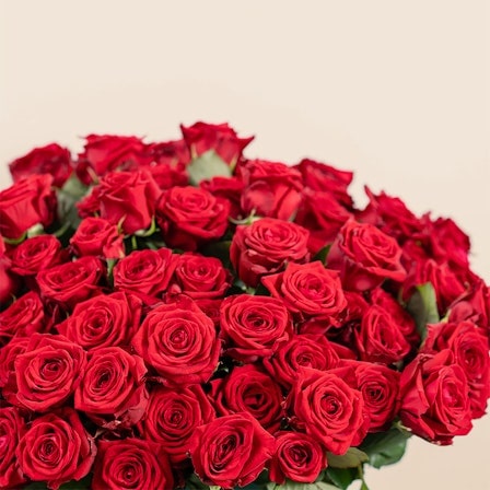 San Valentino Rose rosse con cioccolatini - Flower Delivery Roma