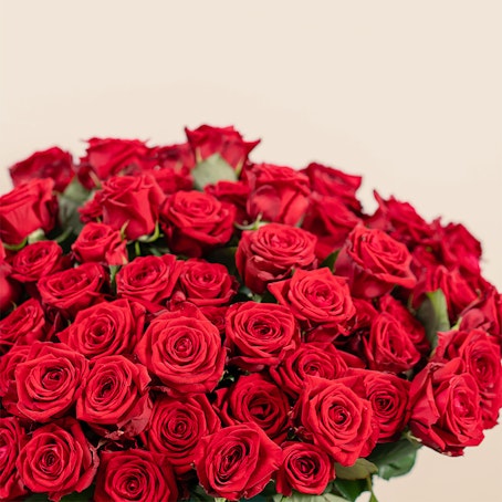 Bouquet di rose online con consegna a domicilio - Interflora
