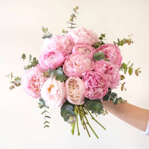 Leggende e storie legate al significato della Peonia