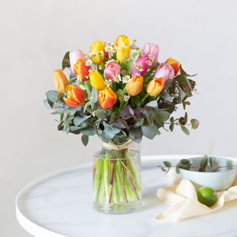 Tulipano : sono innamorato di te